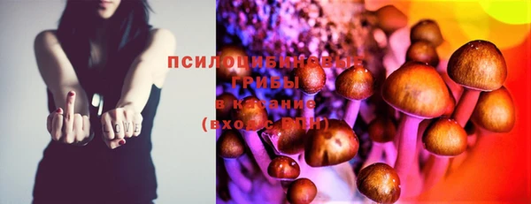mdma Беломорск