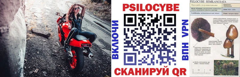 даркнет сайт  Ильский  Псилоцибиновые грибы ЛСД 